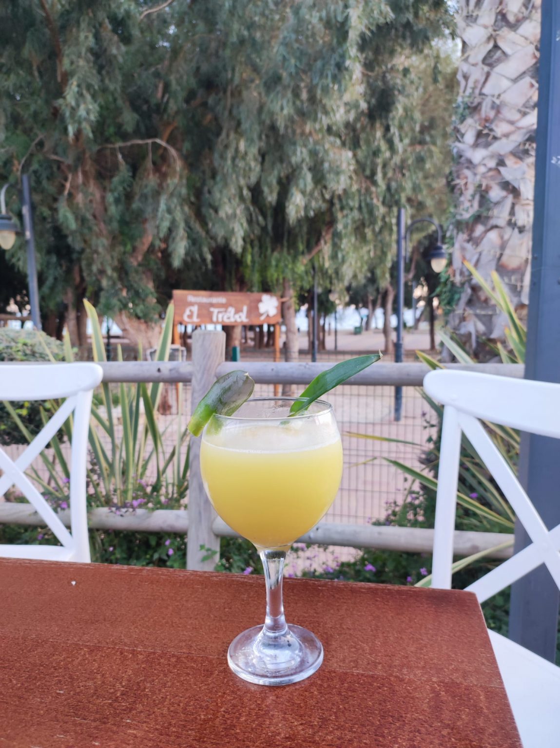 Restaurante El Trébol Como realizar una piña colada